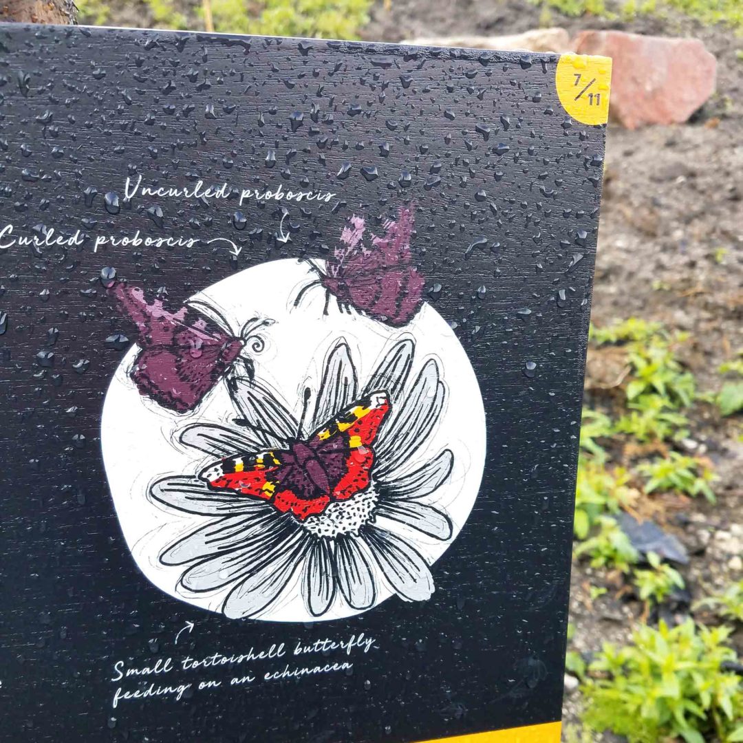 Eden Project pollination trail signage