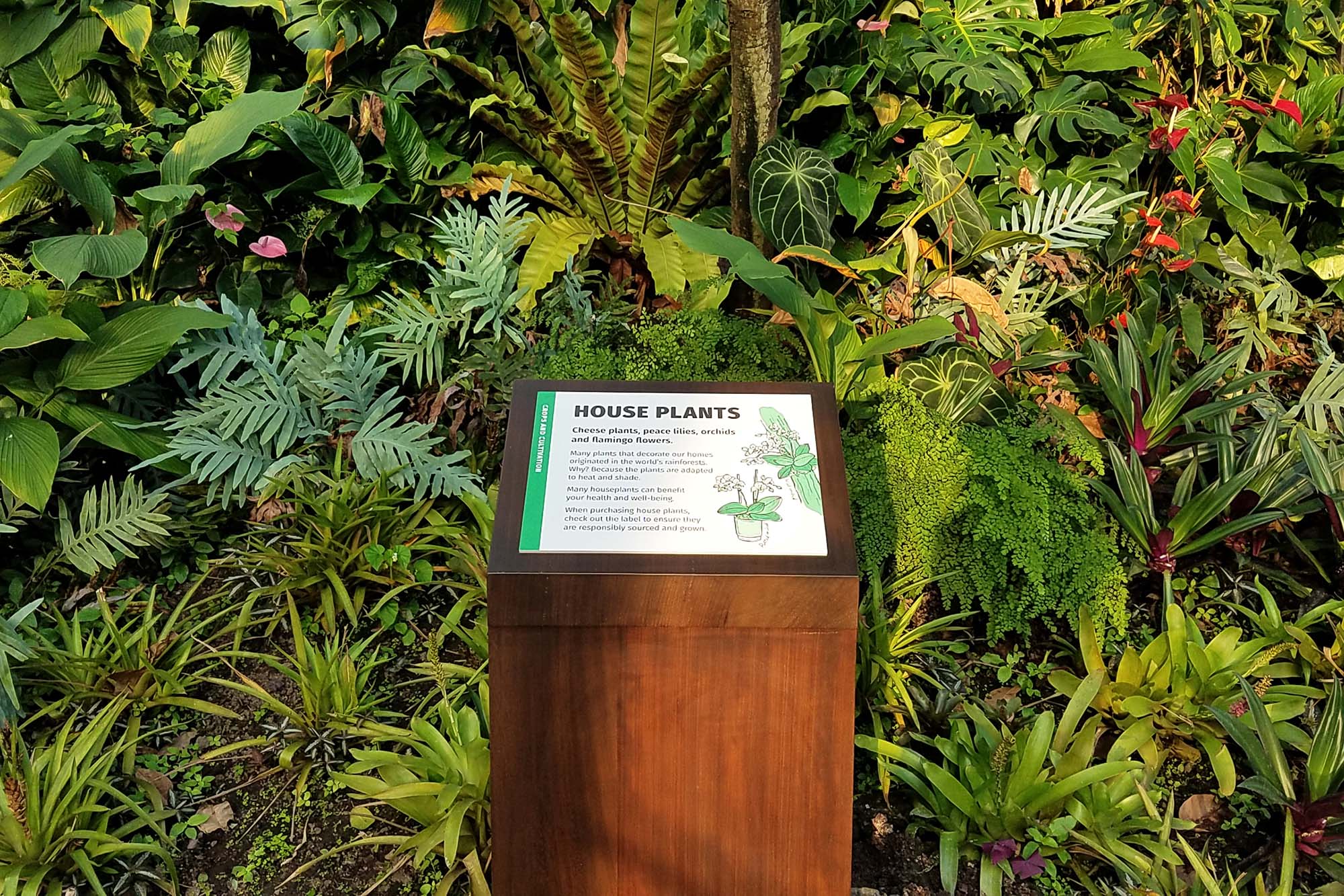 Houseplant crop sign in rainforest