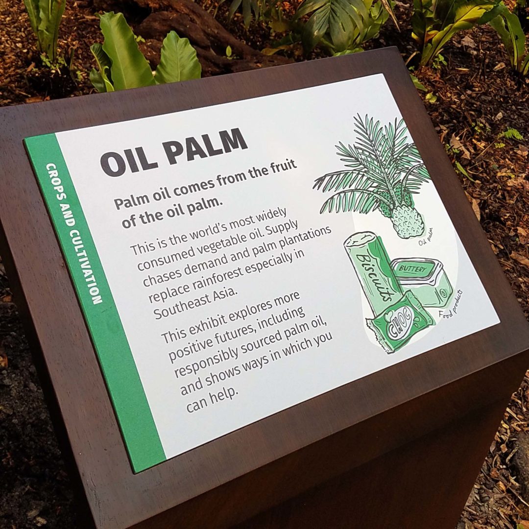 Oil palm crop sign in rainforest