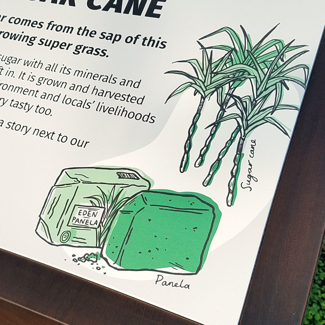 Sugar cane crop sign in rainforest