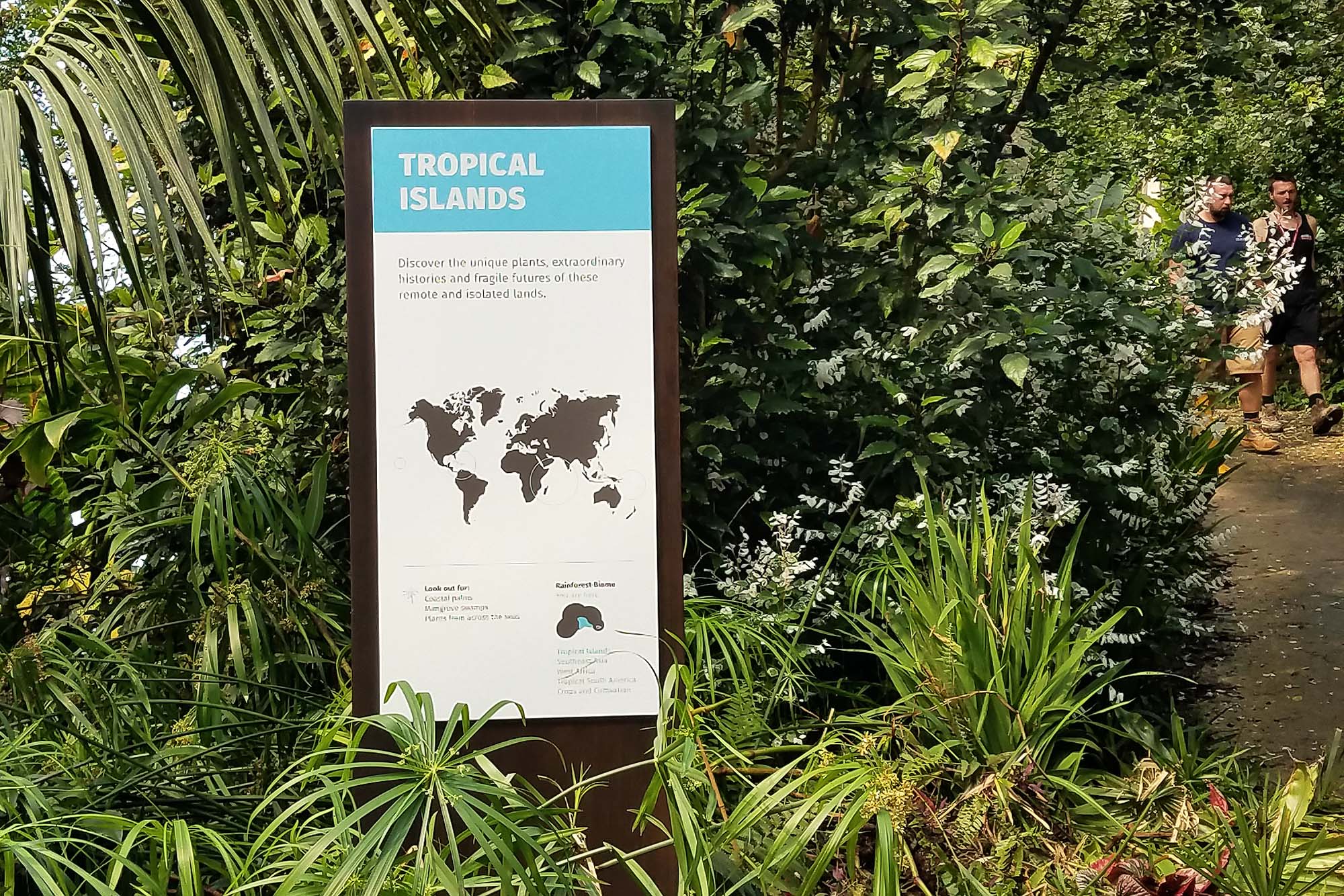 Tropical Islands sign in rainforest