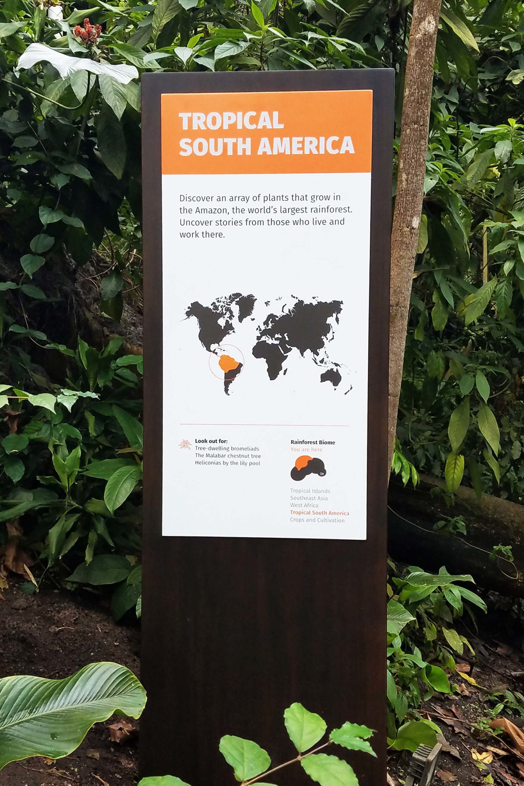 Tropical South America sign in rainforest